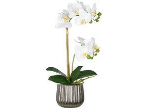 4064118325758 - Kunstorchidee CREATIV GREEN Orchidee Phalaenopsis weiß H48cm Kunststoff Kunstpflanzen mit real-touch-Blüten 4064118325758 - Kunstorchidee CREATIV GREEN Orchidee Phalaenopsis weiß H48cm Kunststoff Kunstpflanzen mit real-touch-Blüten