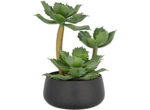 4064118326311 - Kunstpflanze CREATIV GREEN Echeveria grün H28cm Kunststoff Kunstpflanzen mit dekorativem Kies 4064118326311 - Kunstpflanze CREATIV GREEN Echeveria grün H28cm Kunststoff Kunstpflanzen mit dekorativem Kies