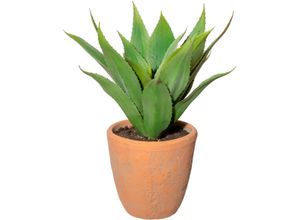 4064118138150 - Künstliche Zimmerpflanze CREATIV GREEN Agave im Terracottatopf Kunstpflanzen Gr H 40 cm 1 St grün Künstliche Zimmerpflanzen 4064118138150 - Künstliche Zimmerpflanze CREATIV GREEN Agave im Terracottatopf Kunstpflanzen Gr H 40 cm 1 St grün Künstliche Zimmerpflanzen