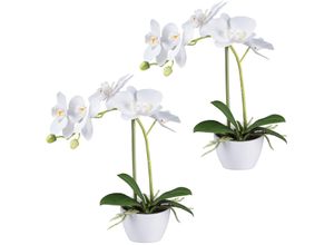 4064118240433 - Kunstorchidee CREATIV GREEN Orchidee Phalaenopsis weiß H33cm Kunststoff Kunstpflanzen im weißen Design-Topf 4064118240433 - Kunstorchidee CREATIV GREEN Orchidee Phalaenopsis weiß H33cm Kunststoff Kunstpflanzen im weißen Design-Topf