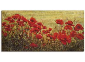 4055327157896 - Wandbild ARTLAND Mohnfeld Bilder Gr B H 60 cm x 30 cm Leinwandbild Blumenwiese 1 St rot Bild Metallbild Metallbilder Bilder als Alubild Leinwandbild Wandaufkleber oder Poster in versch Größen 4055327157896 - Wandbild ARTLAND Mohnfeld Bilder Gr B H 60 cm x 30 cm Leinwandbild Blumenwiese 1 St rot Bild Metallbild Metallbilder Bilder als Alubild Leinwandbild Wandaufkleber oder Poster in versch Größen