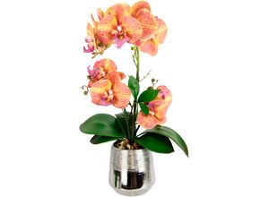 4019844794910 - Kunstorchidee IGEA Phalaenopsis Orchidee im Topf orange B20cm H42cm L14cm Polyester Kunstpflanzen Kunstblume mit Blätter Blume Kunstpflanze Deko Seidenblume Real Touch 4019844794910 - Kunstorchidee IGEA Phalaenopsis Orchidee im Topf orange B20cm H42cm L14cm Polyester Kunstpflanzen Kunstblume mit Blätter Blume Kunstpflanze Deko Seidenblume Real Touch