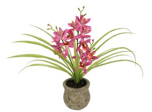 4019844810177 - Kunstblume IGEA Kunstblume Schmetterling Orchidee mit Keramiktopf rosa (dunkelrosa) B39cm H38cm L11cm Polyester Kunstpflanzen Mit Blätter Luftwurzeln Blume Kunstorchidee Phalaenopsis Kunstpflanze 4019844810177 - Kunstblume IGEA Kunstblume Schmetterling Orchidee mit Keramiktopf rosa (dunkelrosa) B39cm H38cm L11cm Polyester Kunstpflanzen Mit Blätter Luftwurzeln Blume Kunstorchidee Phalaenopsis Kunstpflanze