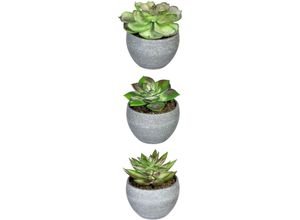 4064118118688 - Künstliche Zimmerpflanze CREATIV GREEN Dracaena draco Kunstpflanzen Gr Ø H 75 cm x 9 cm 3 St grün Künstliche Zimmerpflanzen im Topf 4064118118688 - Künstliche Zimmerpflanze CREATIV GREEN Dracaena draco Kunstpflanzen Gr Ø H 75 cm x 9 cm 3 St grün Künstliche Zimmerpflanzen im Topf