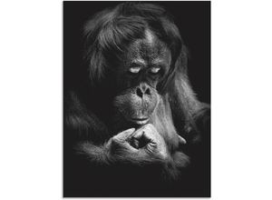 4062144626139 - Wandbild ARTLAND Orang Utan Bilder Gr B H 45 cm x 60 cm Alu-Dibond-Druck Affenbilder Hochformat 1 St schwarz Kunstdrucke als Alubild Leinwandbild Wandaufkleber oder Poster in versch Größen