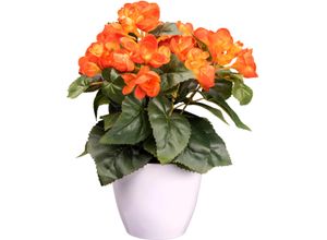 4064118241096 - Kunstblume CREATIV GREEN Begonie orange H28cm Kunststoff Kunstpflanzen mit farbenfrohen Blüten