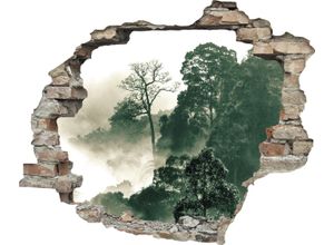 4049009361800 - Wandtattoo QUEENCE Regenwald grün T01cm Wandtattoos Wandsticker Wandbild selbstklebend 3D Wanddurchbruch 4049009361800 - Wandtattoo QUEENCE Regenwald grün T01cm Wandtattoos Wandsticker Wandbild selbstklebend 3D Wanddurchbruch