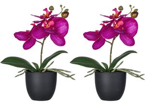 4064118326113 - Kunstorchidee CREATIV GREEN Orchidee Phalaenopsis pink H23cm Kunststoff Kunstpflanzen mit naturgetreuen Blüten 4064118326113 - Kunstorchidee CREATIV GREEN Orchidee Phalaenopsis pink H23cm Kunststoff Kunstpflanzen mit naturgetreuen Blüten