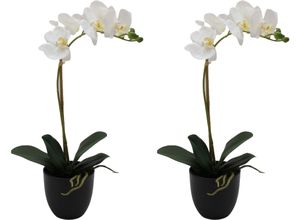 4064118315841 - Kunstorchidee CREATIV GREEN Orchidee Phalaenopsis weiß H45cm Kunststoff Kunstpflanzen mit täuschend echten Blüten 4064118315841 - Kunstorchidee CREATIV GREEN Orchidee Phalaenopsis weiß H45cm Kunststoff Kunstpflanzen mit täuschend echten Blüten