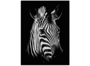 4062144626689 - Wandbild ARTLAND Zebra Bilder Gr B H 60 cm x 80 cm Leinwandbild Zebra Bilder Hochformat 1 St schwarz Kunstdrucke als Alubild Leinwandbild Wandaufkleber oder Poster in versch Größen 4062144626689 - Wandbild ARTLAND Zebra Bilder Gr B H 60 cm x 80 cm Leinwandbild Zebra Bilder Hochformat 1 St schwarz Kunstdrucke als Alubild Leinwandbild Wandaufkleber oder Poster in versch Größen
