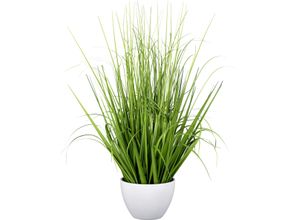 4064118319702 - Kunstgras CREATIV GREEN Grasbusch grün H58cm Kunststoff Kunstpflanzen mit zahlreichen Grashalmen 4064118319702 - Kunstgras CREATIV GREEN Grasbusch grün H58cm Kunststoff Kunstpflanzen mit zahlreichen Grashalmen