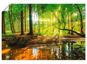4059745929684 - Wandbild ARTLAND Wald mit Bach Bilder Gr B H 60 cm x 40 cm Poster Wald Querformat 1 St grün Bild Poster Bilder als Alubild Leinwandbild Wandaufkleber oder in versch Größen 4059745929684 - Wandbild ARTLAND Wald mit Bach Bilder Gr B H 60 cm x 40 cm Poster Wald Querformat 1 St grün Bild Poster Bilder als Alubild Leinwandbild Wandaufkleber oder in versch Größen