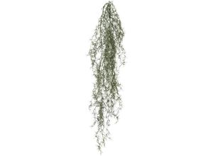 4064118326212 - Kunstranke CREATIV GREEN Tillandsia grau (grau grün) H120cm Kunststoff Kunstpflanzen mit filigranen Ranken 4064118326212 - Kunstranke CREATIV GREEN Tillandsia grau (grau grün) H120cm Kunststoff Kunstpflanzen mit filigranen Ranken