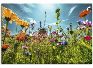 4062144669310 - Wandbild ARTLAND Buntes Blumenfeld Bilder Gr B H 30 cm x 20 cm Leinwandbild Blumenwiese Querformat 1 St bunt Kunstdrucke als Alubild Leinwandbild Wandaufkleber oder Poster in versch Größen 4062144669310 - Wandbild ARTLAND Buntes Blumenfeld Bilder Gr B H 30 cm x 20 cm Leinwandbild Blumenwiese Querformat 1 St bunt Kunstdrucke als Alubild Leinwandbild Wandaufkleber oder Poster in versch Größen