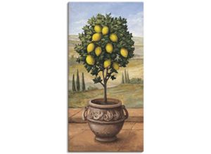 4055327160421 - Wandbild ARTLAND Zitronenbaum Bilder Gr B H 30 cm x 60 cm Leinwandbild Bäume 1 St beige (naturfarben) Bild Metallbild Metallbilder Bilder als Alubild Leinwandbild Wandaufkleber oder Poster in versch Größen