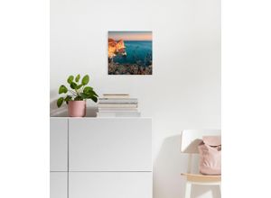 4055065031618 - Leinwandbild KOMAR Keilrahmenbild - Steep Cove Größe 30 x cm Bilder Gr B H T 30 cm x 30 cm x 2 cm Landschaftsaufnahme Baum-Natur-Berge-Landschaft-Meer quadratisch 1 St bunt Leinwandbilder Deutsches Qualitätsvlies (155 gm²)