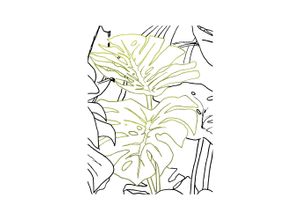 4055065179587 - Bild KOMAR Monstera Borsigiana grün (farbe bild(er) grün weiß) B40cm H50cm Papier Holz Bilder Wandbild zur Dekoration - ohne Rahmen
