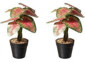 4064118118794 - Künstliche Zimmerpflanze CREATIV GREEN Dracaena draco Kunstpflanzen Gr Ø H 17 cm x 30 cm 2 St grün (grün rot) Künstliche Zimmerpflanzen im Topf 4064118118794 - Künstliche Zimmerpflanze CREATIV GREEN Dracaena draco Kunstpflanzen Gr Ø H 17 cm x 30 cm 2 St grün (grün rot) Künstliche Zimmerpflanzen im Topf