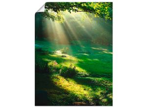 4055327640268 - Wandbild ARTLAND Lichtkegel Bilder Gr B H 60 cm x 80 cm Poster Wald Hochformat 1 St grün Bild Metallbild Metallbilder Bilder als Alubild Leinwandbild Wandaufkleber oder Poster in versch Größen 4055327640268 - Wandbild ARTLAND Lichtkegel Bilder Gr B H 60 cm x 80 cm Poster Wald Hochformat 1 St grün Bild Metallbild Metallbilder Bilder als Alubild Leinwandbild Wandaufkleber oder Poster in versch Größen