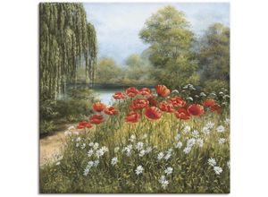 4055327137300 - Wandbild ARTLAND Mohnwiese am See Bilder Gr B H 70 cm x 70 cm Leinwandbild Blumenwiese 1 St grün Bild Poster Bilder als Alubild Leinwandbild Wandaufkleber oder in versch Größen
