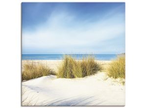4062144005767 - Wandbild ARTLAND Gras auf Sanddünen Bilder Gr B H 70 cm x 70 cm Leinwandbild Strand quadratisch 1 St blau Bild Poster Bilder als Alubild Leinwandbild Wandaufkleber oder in versch Größen 4062144005767 - Wandbild ARTLAND Gras auf Sanddünen Bilder Gr B H 70 cm x 70 cm Leinwandbild Strand quadratisch 1 St blau Bild Poster Bilder als Alubild Leinwandbild Wandaufkleber oder in versch Größen