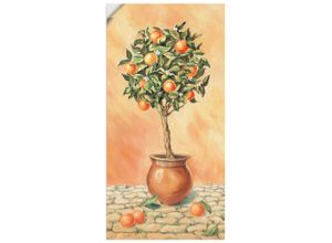4057738259022 - Wandbild ARTLAND Orangenbaum I Bilder Gr B H 30 cm x 60 cm Wandaufkleber - Vinyl Pflanzen 1 St orange Bild Metallbild Metallbilder Bilder als Alubild Leinwandbild Wandaufkleber oder Poster in versch Größen 4057738259022 - Wandbild ARTLAND Orangenbaum I Bilder Gr B H 30 cm x 60 cm Wandaufkleber - Vinyl Pflanzen 1 St orange Bild Metallbild Metallbilder Bilder als Alubild Leinwandbild Wandaufkleber oder Poster in versch Größen