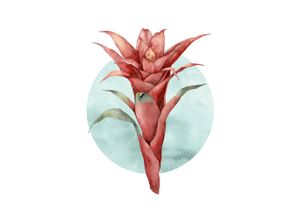 4055065178924 - Bild KOMAR Funky Flower bunt (farbe bild(er) bunt) B40cm H50cm Papier Holz Bilder Wandbild zur Dekoration - ohne Rahmen