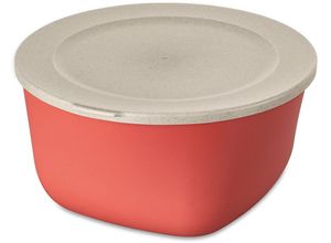 4002942561492 - Frischhaltedose KOZIOL CONNECT BOX 4 Lebensmittelaufbewahrungsbehälter Gr B H L 25 cm x 13 cm x 25 cm orange (nature coral) Frischhaltedosen spülmaschinengeeignetmelaminfreirecycelbarCO²neutrale Produktion 4L 4002942561492 - Frischhaltedose KOZIOL CONNECT BOX 4 Lebensmittelaufbewahrungsbehälter Gr B H L 25 cm x 13 cm x 25 cm orange (nature coral) Frischhaltedosen spülmaschinengeeignetmelaminfreirecycelbarCO²neutrale Produktion 4L