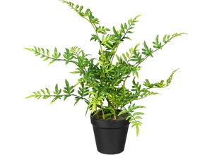 4064118071853 - Künstliche Zimmerpflanze CREATIV GREEN Japanischer Farn Kunstpflanzen Gr H 40 cm 1 St grün Künstliche Zimmerpflanzen Kunstpflanzen 4064118071853 - Künstliche Zimmerpflanze CREATIV GREEN Japanischer Farn Kunstpflanzen Gr H 40 cm 1 St grün Künstliche Zimmerpflanzen Kunstpflanzen