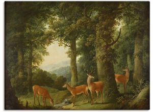 4055327103114 - Wandbild ARTLAND Waldlandschaft mit Rotwild Um 1760 70 Bilder Gr B H 80 cm x 60 cm Leinwandbild Wald 1 St grün Bild Poster Bilder als Leinwandbild Wandaufkleber oder in versch Größen 4055327103114 - Wandbild ARTLAND Waldlandschaft mit Rotwild Um 1760 70 Bilder Gr B H 80 cm x 60 cm Leinwandbild Wald 1 St grün Bild Poster Bilder als Leinwandbild Wandaufkleber oder in versch Größen