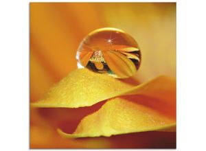 4055327631167 - Glasbild ARTLAND Wassertropfen II Bilder Gr B H 20 cm x 20 cm Glasbild Blätter quadratisch 1 St orange Bild Glasbild Glasbilder Bilder in verschiedenen Größen