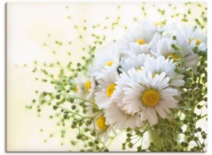 4055327885188 - Wandbild ARTLAND Gänseblümchen und Hofstaat Bilder Gr B H 40 cm x 30 cm Leinwandbild Blumen 1 St weiß Bild Kunstdruck Leinwandbild Kunstdrucke Bilder als Leinwandbild Wandaufkleber oder Poster in versch Größen