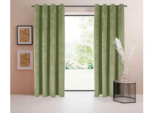 4067602538122 - Vorhang Samt Ladina Gr 1 grau (taupe) B140cm H145cm Polyester Recyceltes Material LEGER HOME BY LENA GERCKE Gardinen blickdichter Vorhang nachhaltige Gardine Samt Vorhang 4067602538122 - Vorhang Samt Ladina Gr 1 grau (taupe) B140cm H145cm Polyester Recyceltes Material LEGER HOME BY LENA GERCKE Gardinen blickdichter Vorhang nachhaltige Gardine Samt Vorhang