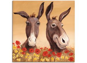 4055327221269 - Wandbild ARTLAND Esel Bilder Gr B H 40 cm x 40 cm Leinwandbild Haustiere 1 St beige (naturfarben) Bild Metallbild Metallbilder Bilder als Alubild Leinwandbild Wandaufkleber oder Poster in versch Größen 4055327221269 - Wandbild ARTLAND Esel Bilder Gr B H 40 cm x 40 cm Leinwandbild Haustiere 1 St beige (naturfarben) Bild Metallbild Metallbilder Bilder als Alubild Leinwandbild Wandaufkleber oder Poster in versch Größen