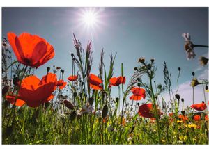 4062144095720 - Wandbild ARTLAND Mohnblumenwiese Bilder Gr B H 60 cm x 40 cm Alu-Dibond-Druck Blumenwiese 1 St rot Bild Kunstdruck Kunstdrucke Bilder als Alubild Leinwandbild Wandaufkleber oder Poster in versch Größen 4062144095720 - Wandbild ARTLAND Mohnblumenwiese Bilder Gr B H 60 cm x 40 cm Alu-Dibond-Druck Blumenwiese 1 St rot Bild Kunstdruck Kunstdrucke Bilder als Alubild Leinwandbild Wandaufkleber oder Poster in versch Größen