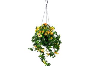 4019844705565 - Kunstpflanze IGEA Stiefmütterchenhängeampel Kunstpflanzen Gr B H 30 cm x 64 cm 1 St gelb (gelb orange) Kunstpflanze Kunstranke Zimmerpflanze Kunstranken Kunstpflanzen