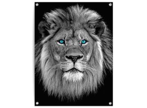 8714597638721 - Poster REINDERS Löwe mit blaue Augen schwarz (farbe bild(er) schwarz) B60cm H80cm T01cm Leinwand Bilder Outdoor für Garten oder Balkon