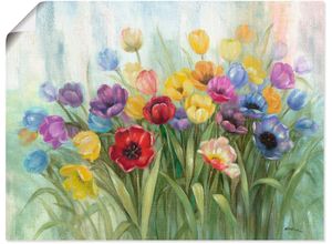 4055327293730 - Wandbild ARTLAND Tulpenwiese I Bilder Gr B H 40 cm x 30 cm Poster Blumenwiese 1 St bunt Bild Metallbild Metallbilder Bilder als Alubild Leinwandbild Wandaufkleber oder Poster in versch Größen