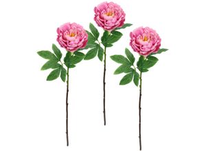 4019844812614 - Kunstblume IGEA Päonie Bauernrose rosa B20cm H60cm L14cm Polyester Kunstpflanzen Pfingstrosen Einzelblume 3er Set