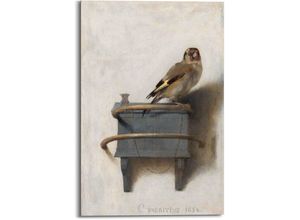 8714597592818 - Wandbild REINDERS Wandbild Der Distelfink Carel Fabritius - Vogel Kunst Mauritshuis Bilder Gr B H 60 cm x 90 cm Vögel 1 St braun Kunstdrucke