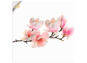 4062144499450 - Wandbild ARTLAND Magnolie Bilder Gr B H 70 cm x 70 cm Wandaufkleber - Vinyl Blumen quadratisch 1 St pink Bild Poster Bilder als Alubild Leinwandbild Wandaufkleber oder in versch Größen 4062144499450 - Wandbild ARTLAND Magnolie Bilder Gr B H 70 cm x 70 cm Wandaufkleber - Vinyl Blumen quadratisch 1 St pink Bild Poster Bilder als Alubild Leinwandbild Wandaufkleber oder in versch Größen