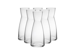 4262517040450 - Karaffen YPSILON 1 Liter 6er Set