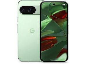 4065327978612 - Pixel 9 Dual SIM 128GB wintergreen