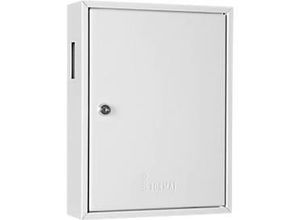 4011238002977 - Schlüsselschrank S H350xB270xT80mm 1-türig ZylinderschlAnzHak42 FORMAT - lichtgrau RAL 7035