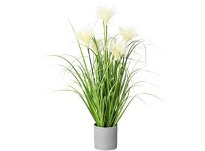 4064118968313 - Kunstgras CREATIV GREEN Riedgras Kunstpflanzen Gr Ø H 15 cm x 66 cm 1 St grün Kunst-Gräser im grauen Kunststofftopf