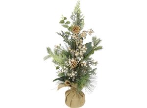 4019844757137 - Winterliche Kunstpflanze IGEA Weihnachtsgesteck im Topf aus Jute Weihnachtsdeko Kunstpflanzen Gr Ø H 30 cm x 60 cm 1 St beige (champagnerfarben) Kunstpflanzen mit Beeren Eukalyptuszweigen Koniferen und Zapfen 4019844757137 - Winterliche Kunstpflanze IGEA Weihnachtsgesteck im Topf aus Jute Weihnachtsdeko Kunstpflanzen Gr Ø H 30 cm x 60 cm 1 St beige (champagnerfarben) Kunstpflanzen mit Beeren Eukalyptuszweigen Koniferen und Zapfen