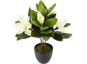 4019844787509 - Kunstblume IGEA Magnolie weiß B26cm H45cm L20cm Obermaterial 80% Polyester 20% Kunststoff Kunstpflanzen Im Topf Magnolienbusch künstlich Frühling Seidenblumen Raumdeko
