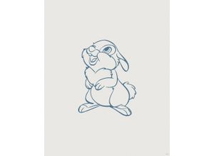 4055065176241 - Wandbild »Hey Thumper« (1 St) Deutsches Premium-Poster Fotopapier mit seidenmatter Oberfläche und hoher Lichtbeständigkeit Für fotorealistische Drucke mit gestochen scharfen Details und hervorragender Farbbrillanz
