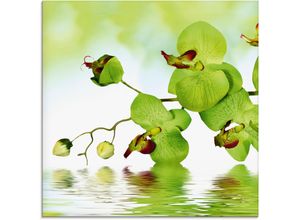 4058661614049 - Glasbild ARTLAND Schöne Orchidee mit grünem Hintergrund Bilder Gr B H 20 cm x 20 cm Blumen 1 St grün Glasbilder Bilder in verschiedenen Größen 4058661614049 - Glasbild ARTLAND Schöne Orchidee mit grünem Hintergrund Bilder Gr B H 20 cm x 20 cm Blumen 1 St grün Glasbilder Bilder in verschiedenen Größen