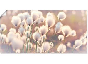4059745196826 - Wandbild ARTLAND Wollgraszauber im Moor Bilder Gr B H 60 cm x 30 cm Poster Gräser 1 St beige (naturfarben) Bild Kunstdruck Kunstdrucke Bilder als Alubild Leinwandbild Wandaufkleber oder Poster in versch Größen 4059745196826 - Wandbild ARTLAND Wollgraszauber im Moor Bilder Gr B H 60 cm x 30 cm Poster Gräser 1 St beige (naturfarben) Bild Kunstdruck Kunstdrucke Bilder als Alubild Leinwandbild Wandaufkleber oder Poster in versch Größen